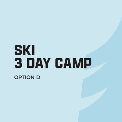 Winter Camp SKI Ages 6 - 12 -  (3 Day Camp) Option D: Lesson only