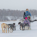 Dog Sled Ride March 14, 2026