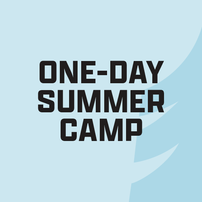 One Day Summer Camp