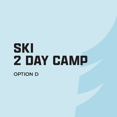 Winter Camp SKI Ages 6 - 12 (2 day camp) - Option D: Lesson Only