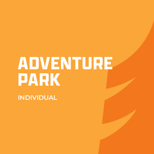 Adventure Park Individual Ticket