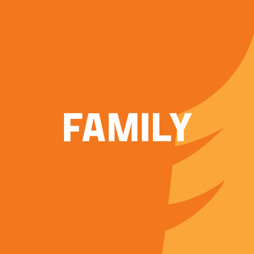 Family Daily Lift Ticket (5 members)