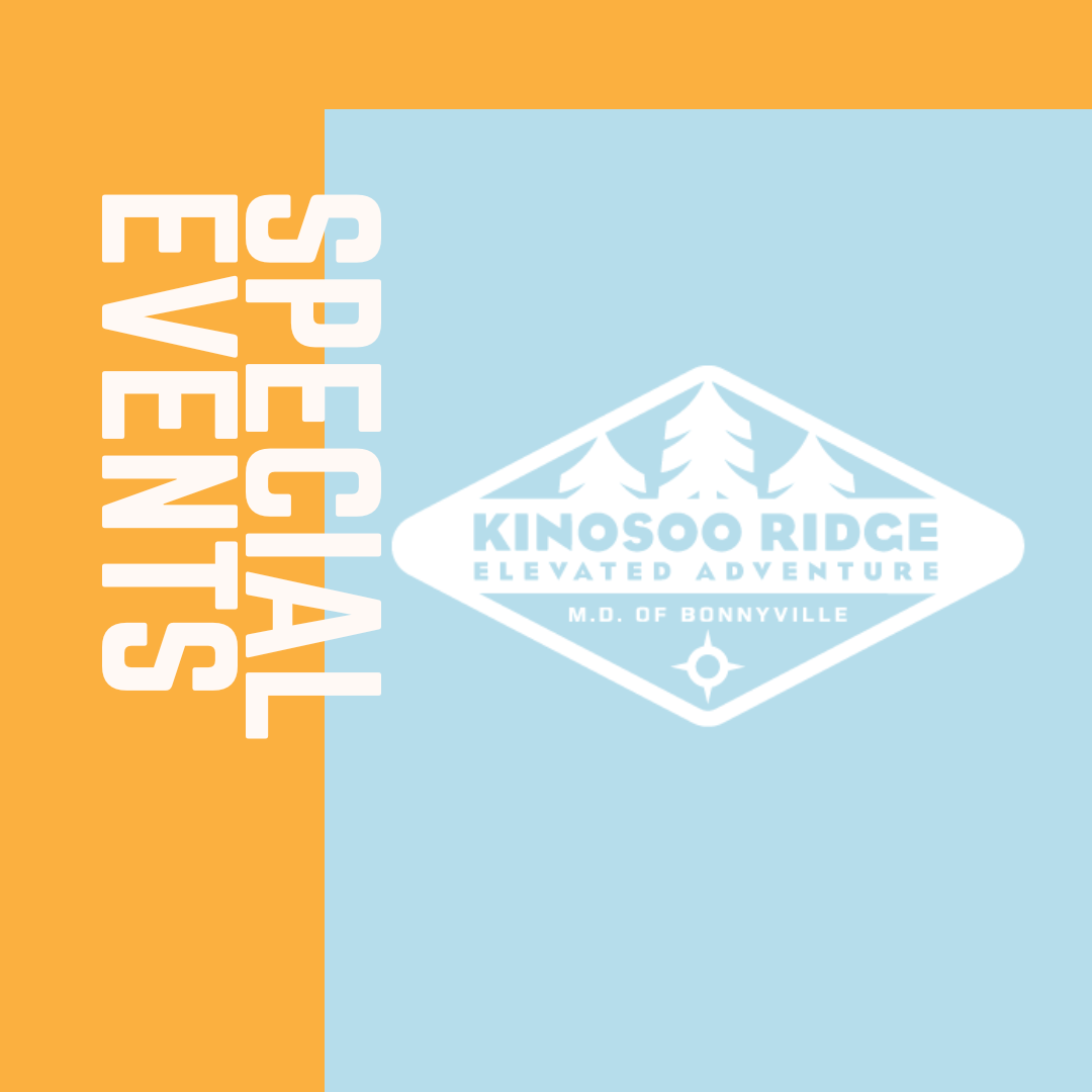 Winter Birthday Party